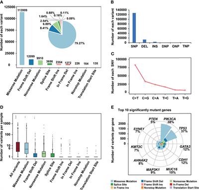 A Comprehensive Survey of Genomic Mutations in Breast Cancer Reveals Recurrent Neoantigens as Potential Therapeutic Targets